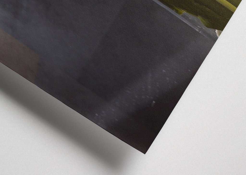 In the fog a bouquet of tulips