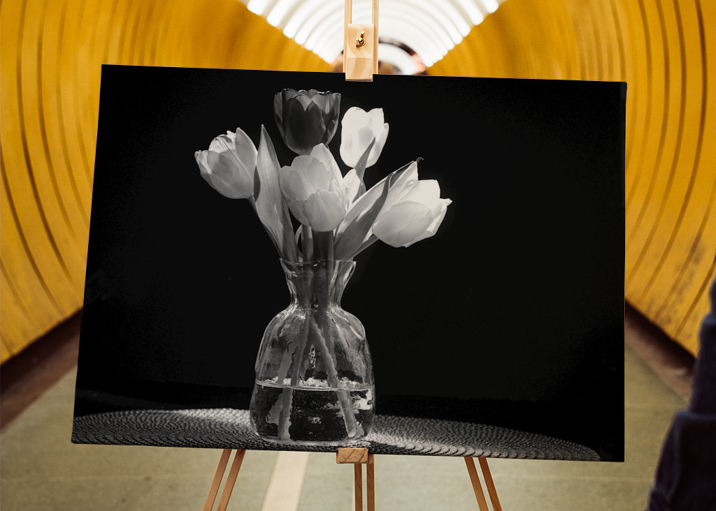 Krásná kytice tulipánů