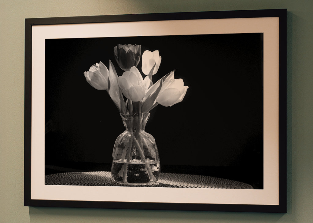 Krásná kytice tulipánů