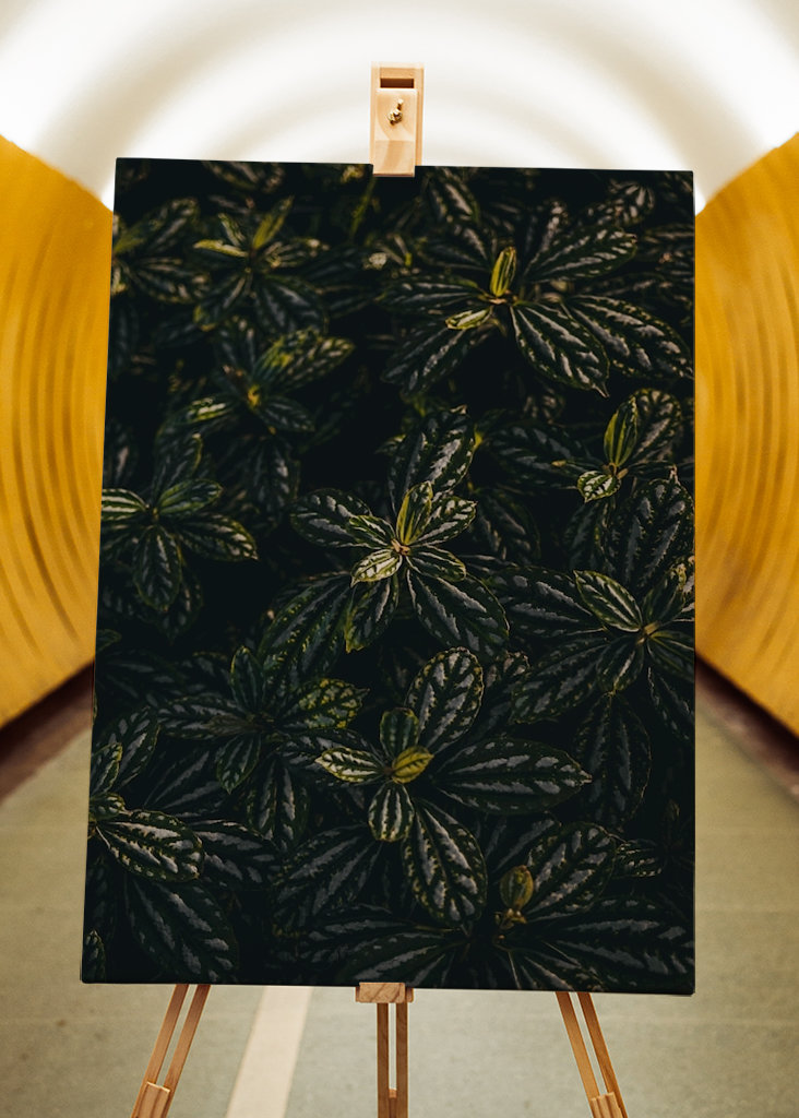 Welcome to the djungle