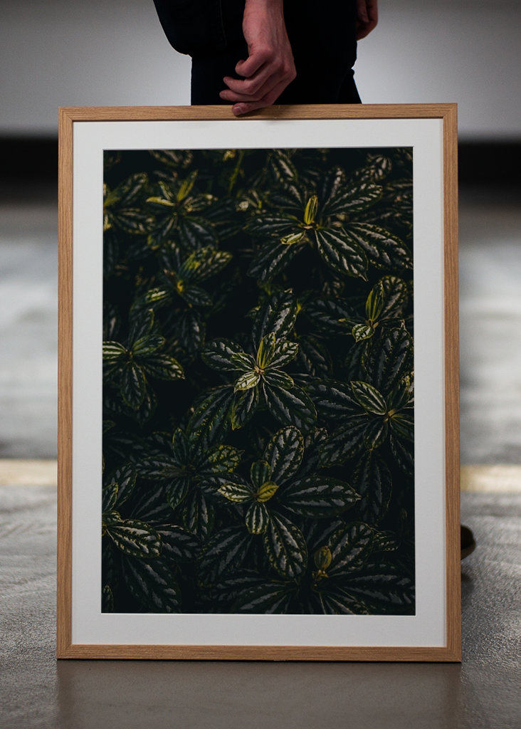 Welcome to the djungle