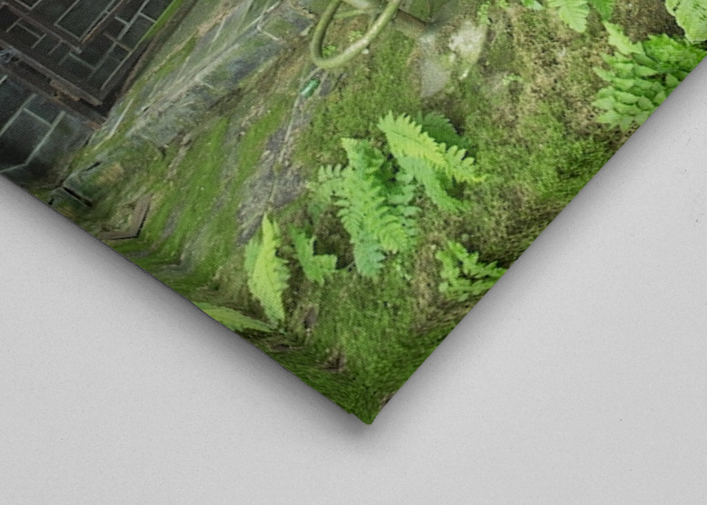 Páfrány növényzet építészet elveszett