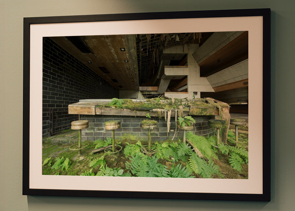 Páfrány növényzet építészet elveszett