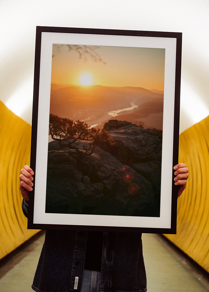 Wetterkiefer bei Sonnenaufgang