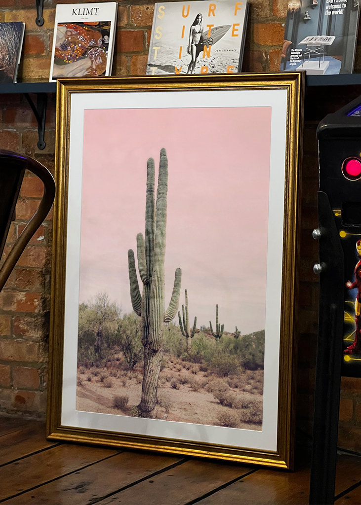 Blush Desert Cactus