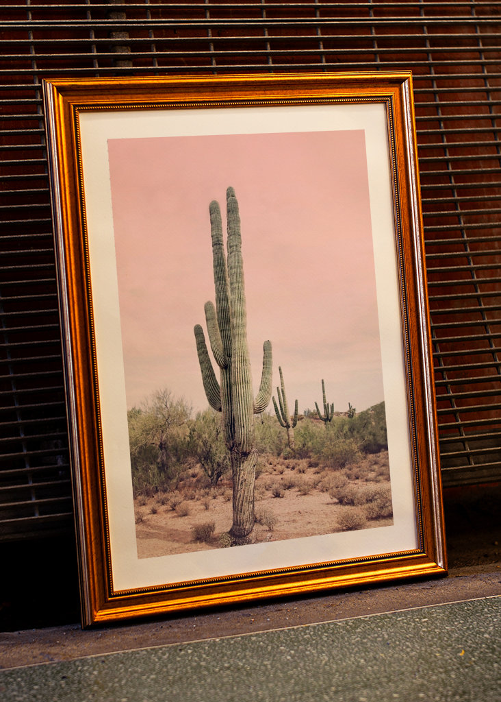 Blush Desert Cactus