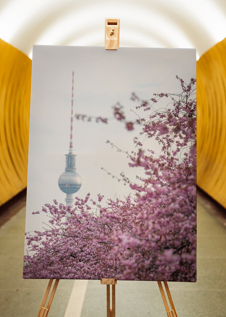 Fernsehturm zur Kirschblüte