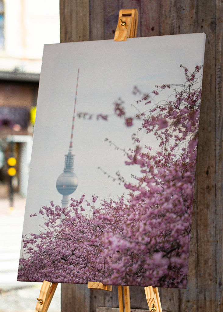 Fernsehturm zur Kirschblüte