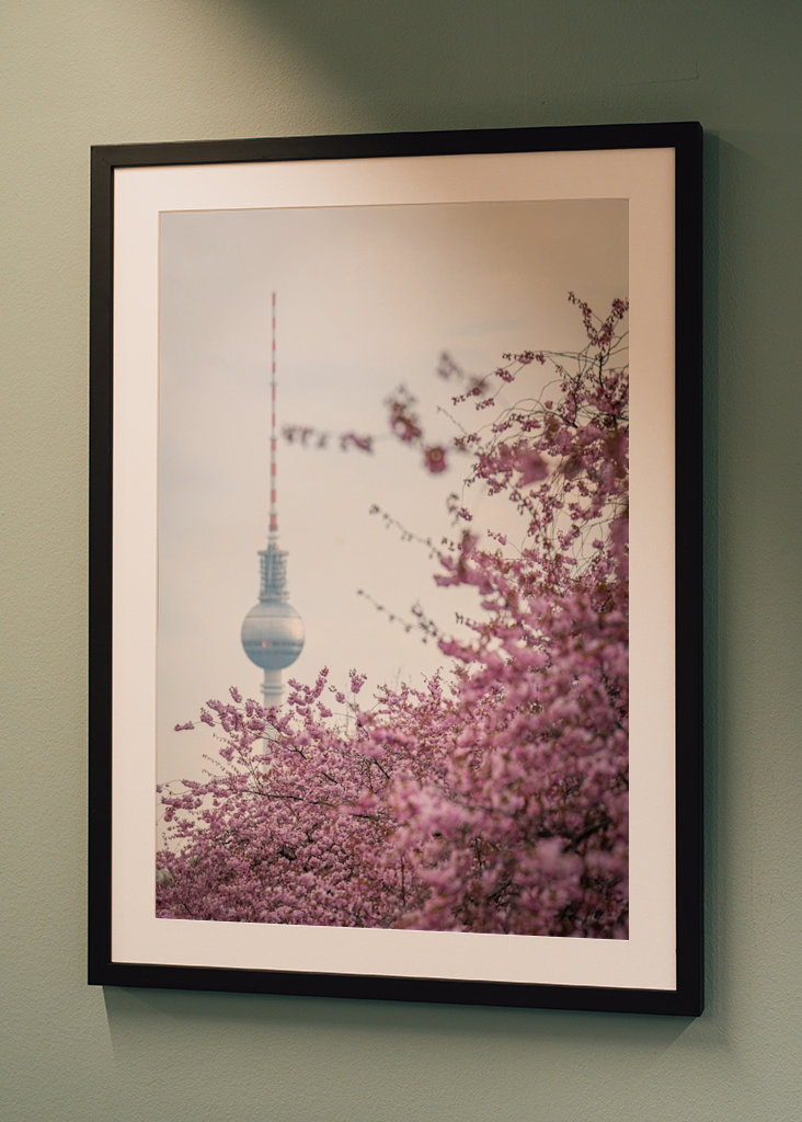 Fernsehturm zur Kirschblüte