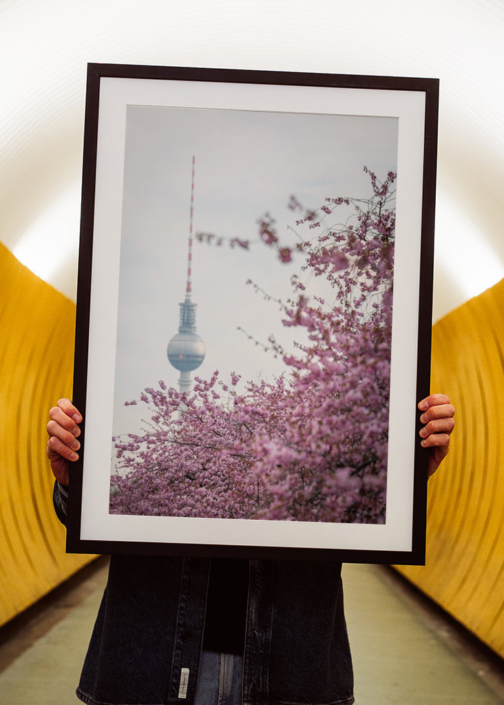 Fernsehturm zur Kirschblüte