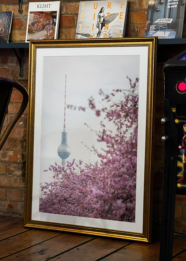 Fernsehturm zur Kirschblüte