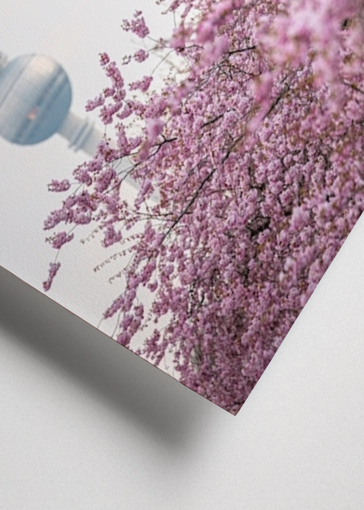 Fernsehturm zur Kirschblüte