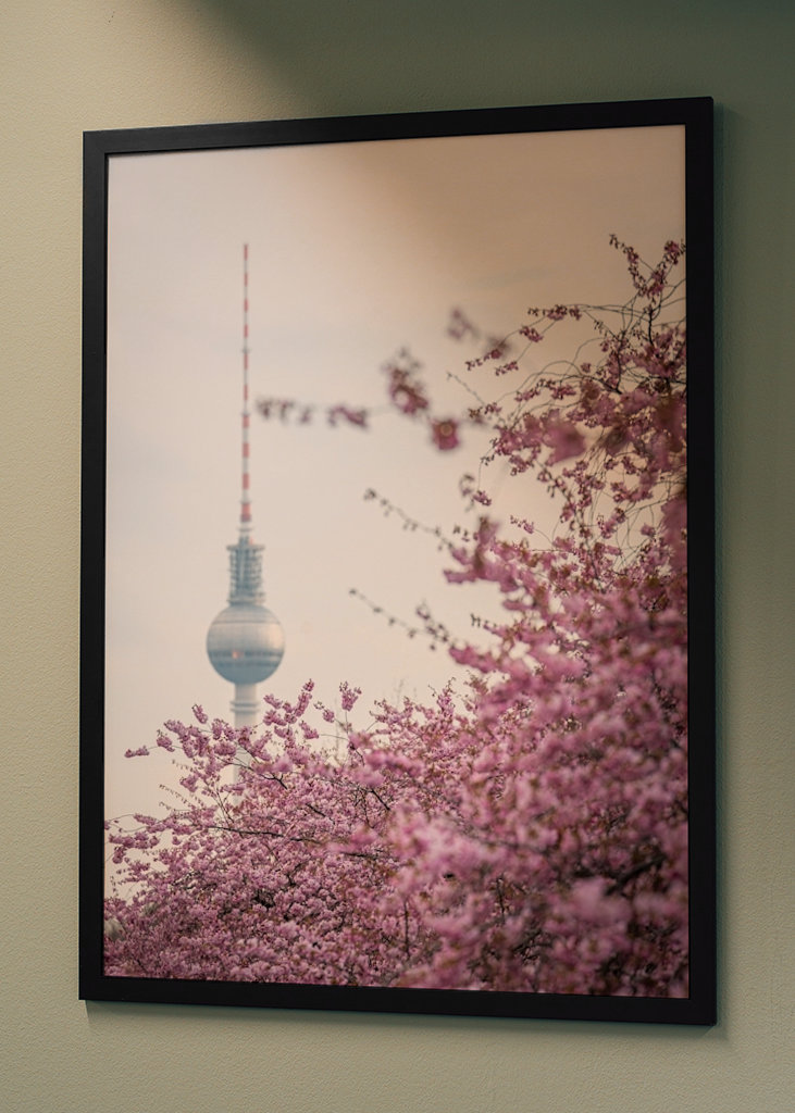 Fernsehturm zur Kirschblüte