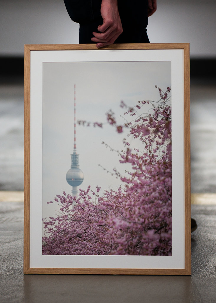 Fernsehturm zur Kirschblüte