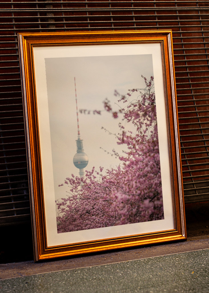 Fernsehturm zur Kirschblüte