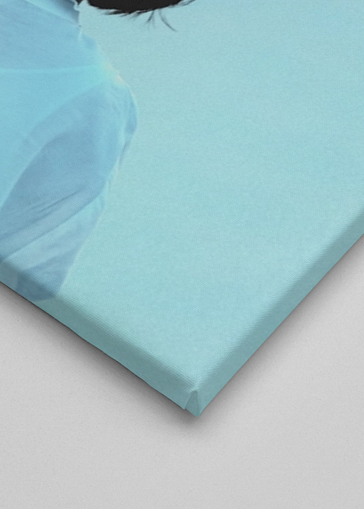 Hochfliegende Vögel