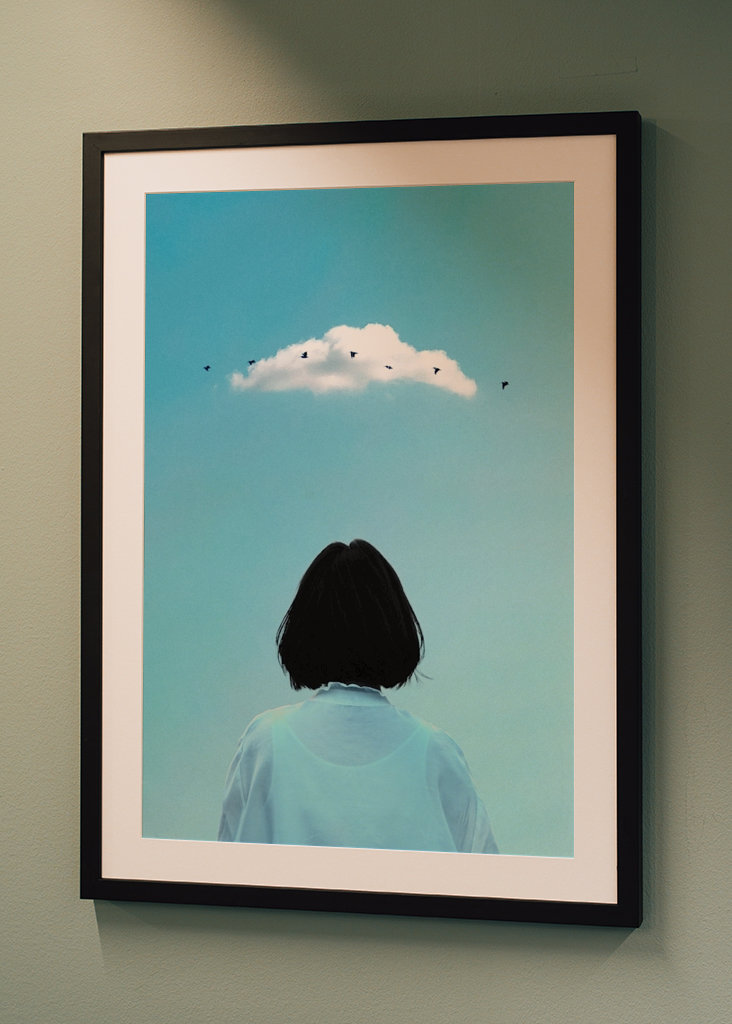 Hochfliegende Vögel