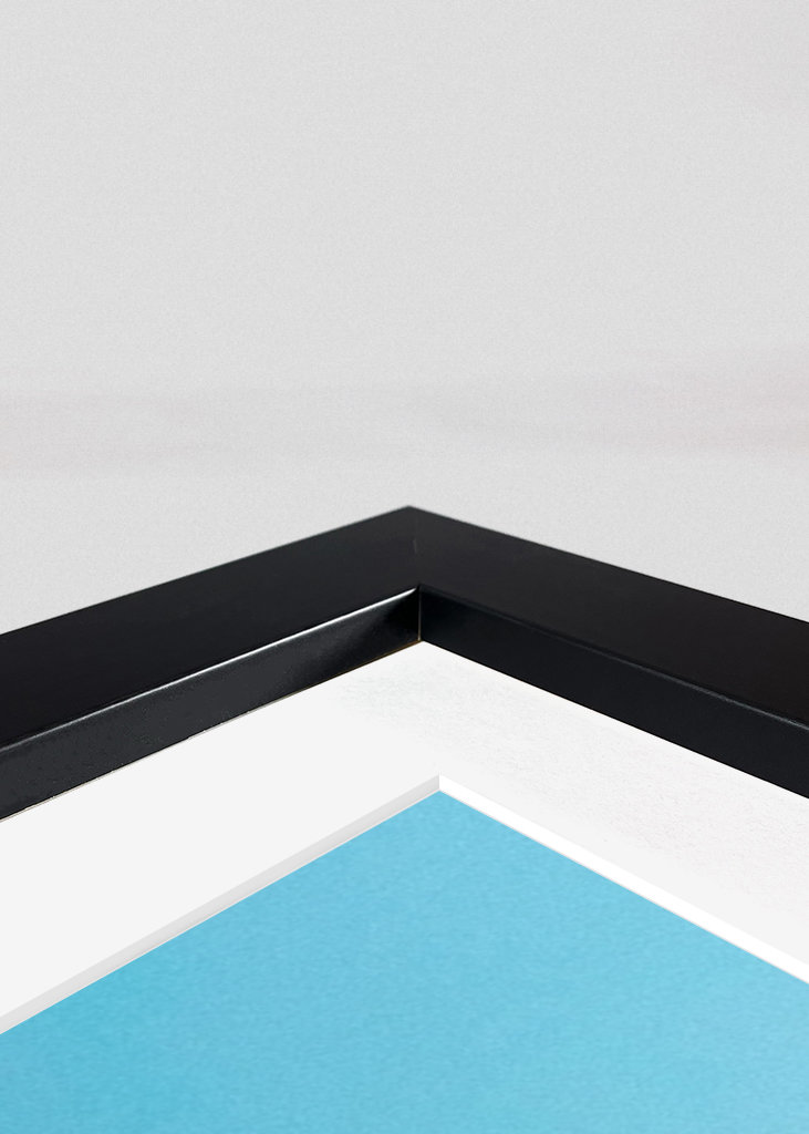 Hochfliegende Vögel