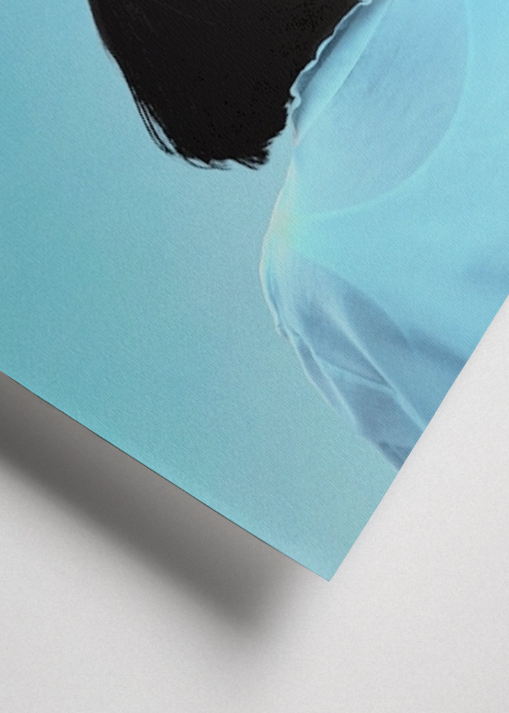 Hochfliegende Vögel