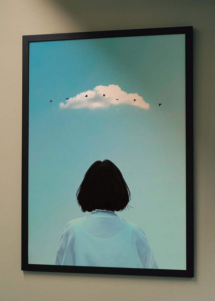 Hochfliegende Vögel