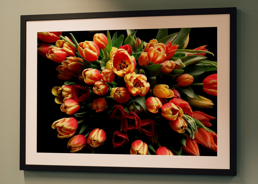 bouquet triumphant tulips #2