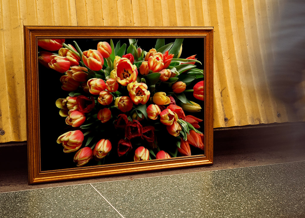 bouquet triumphant tulips #2