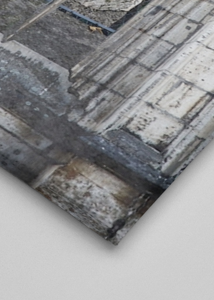 Braunschweiger Löwe II