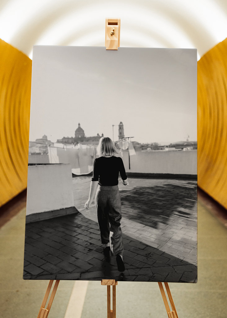 Tejados de Jerez de la Frontera