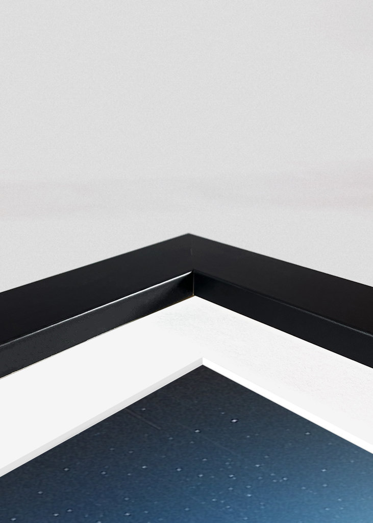 Hvordan vi erobrede verden