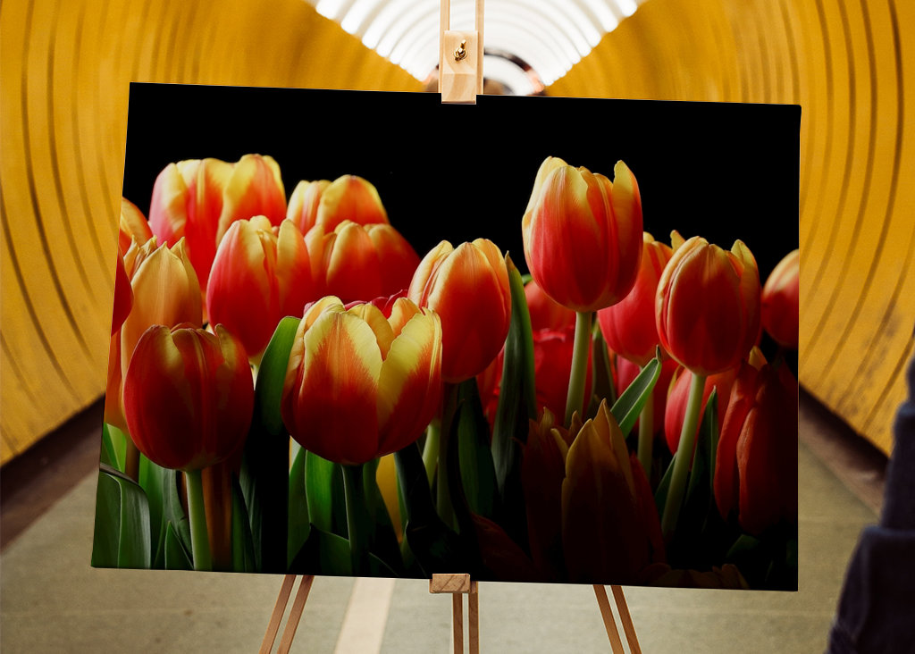 bouquet triumphant tulips #3