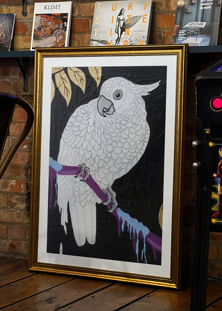 On se croirait dans la jungle 