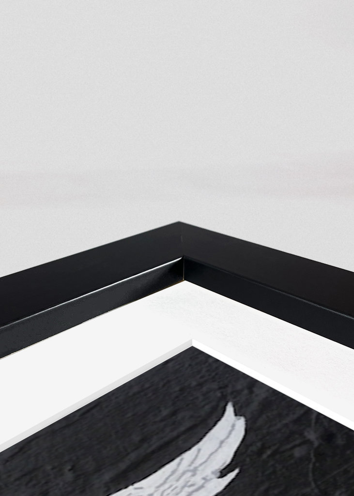 On se croirait dans la jungle 