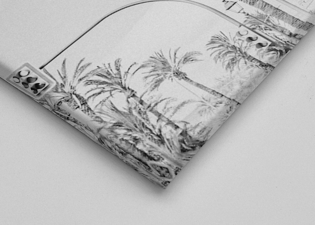 Palmiers en noir et blanc
