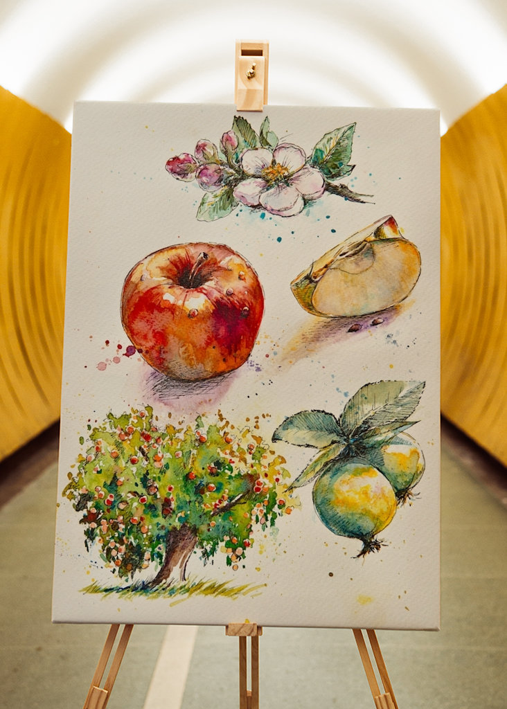 From a notebook - Apple