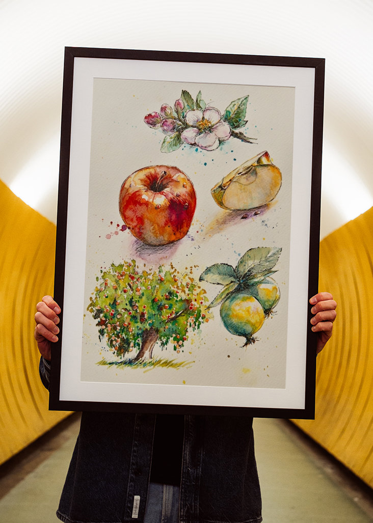 From a notebook - Apple