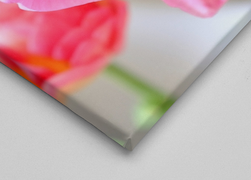 Flowers in pink and red