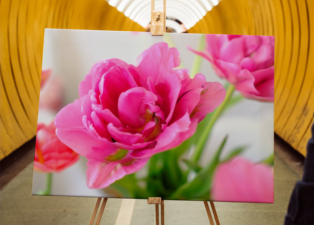 Flowers in pink and red