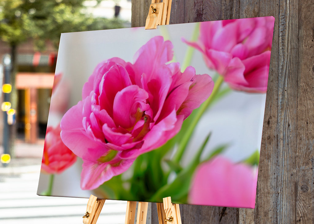 Flowers in pink and red