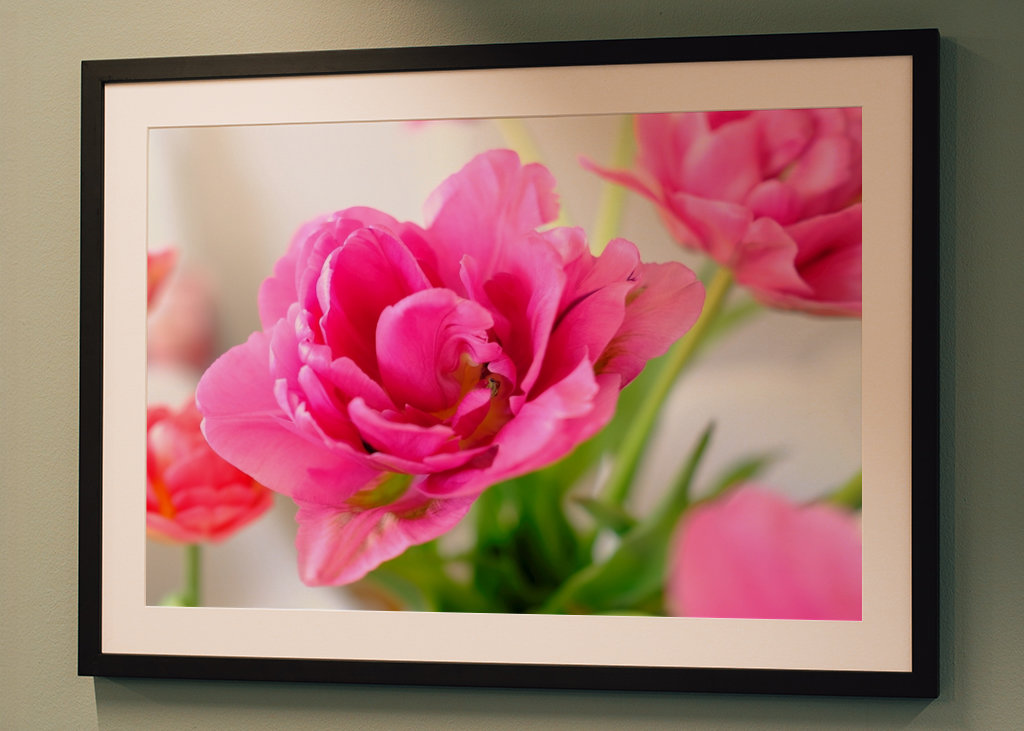 Flowers in pink and red