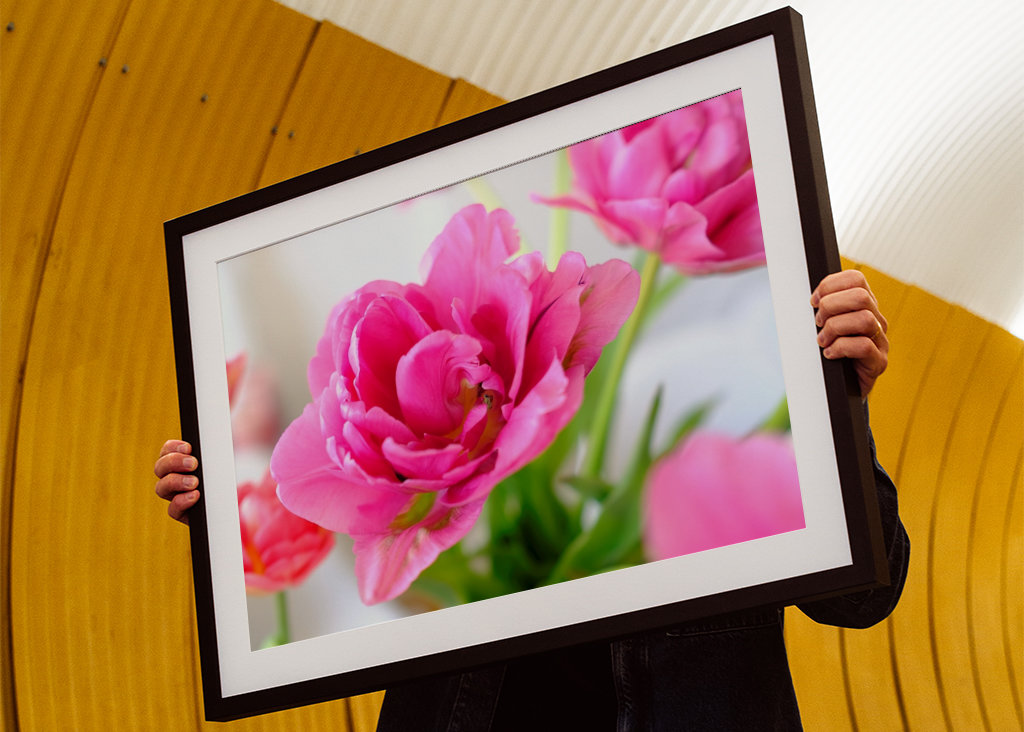 Flowers in pink and red