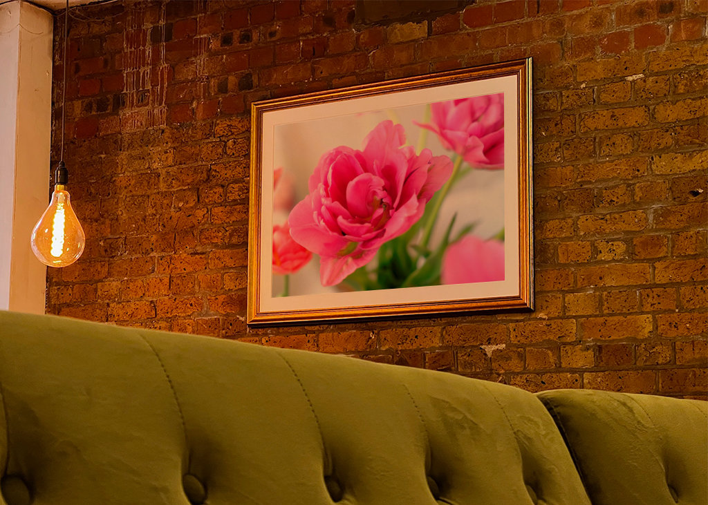 Flowers in pink and red