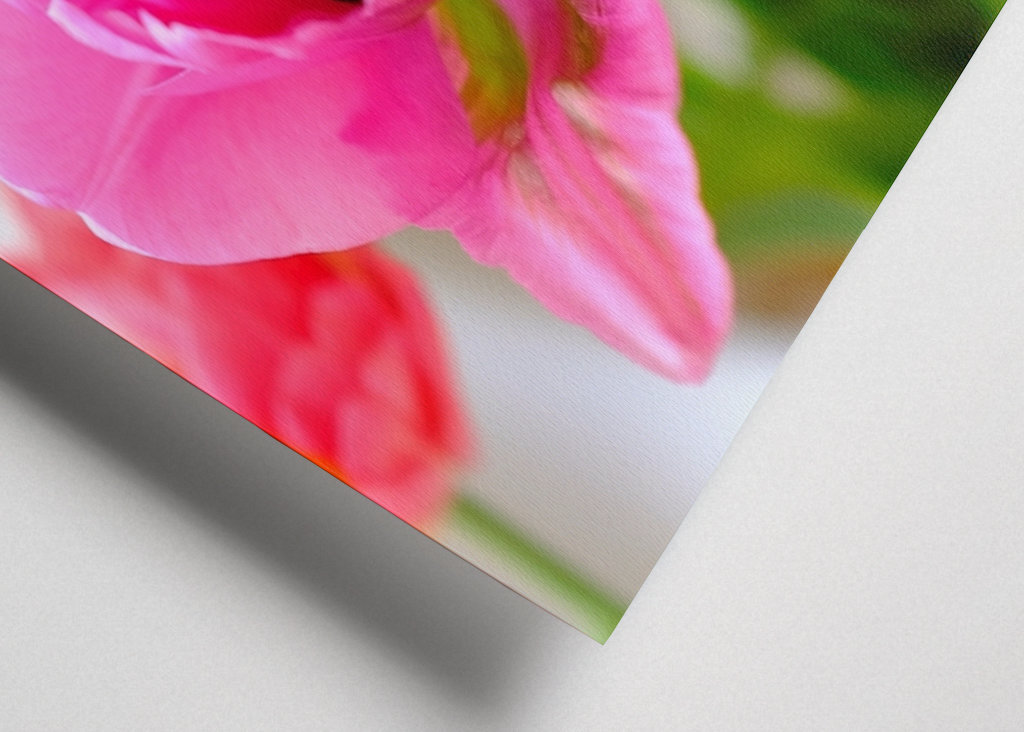 Flowers in pink and red