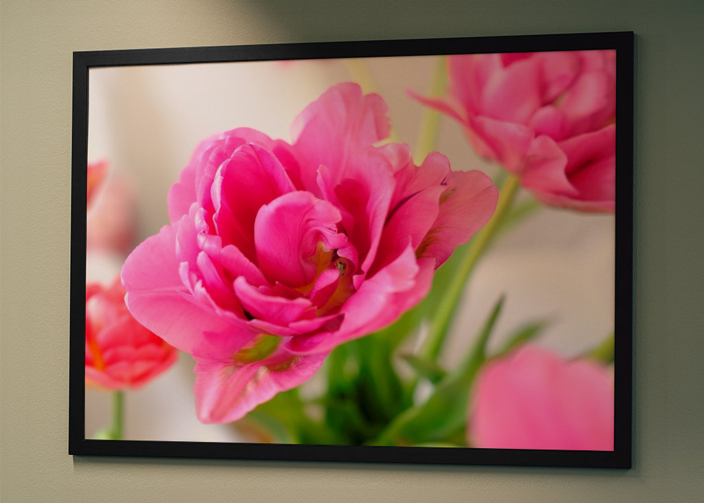 Flowers in pink and red