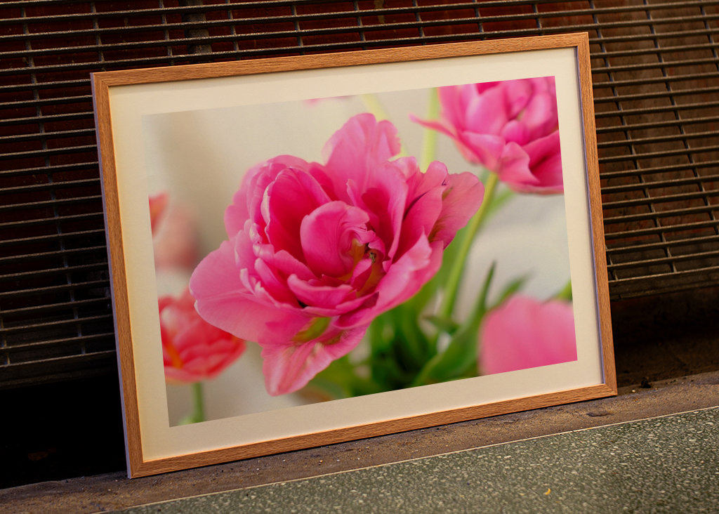 Flowers in pink and red