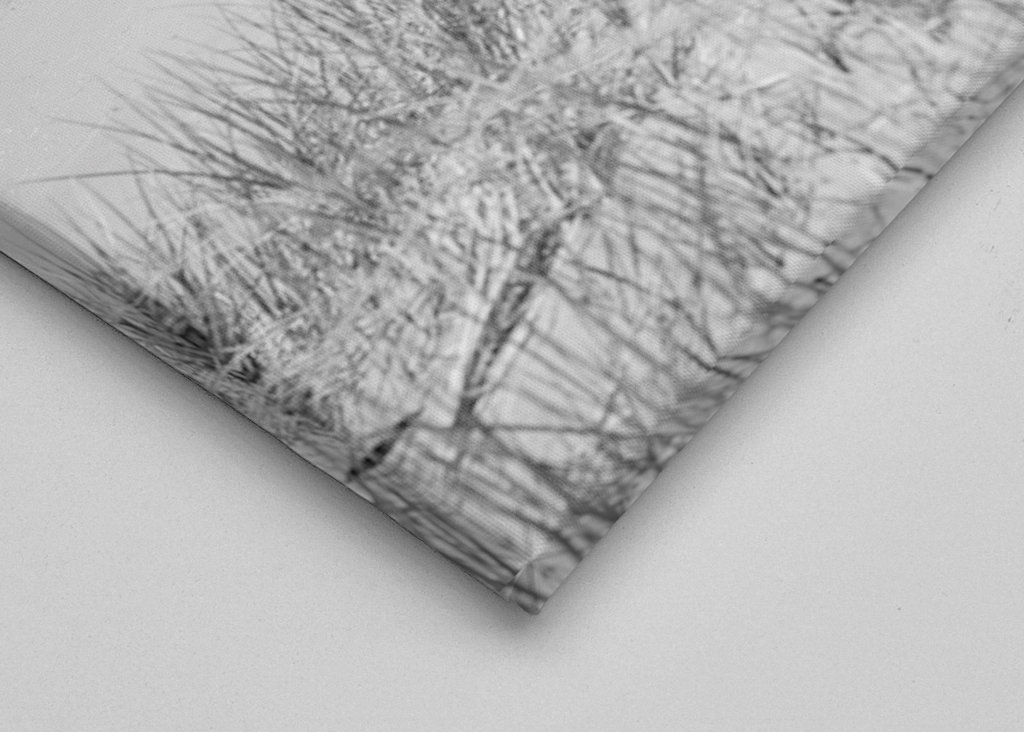 Plage noire et blanche 