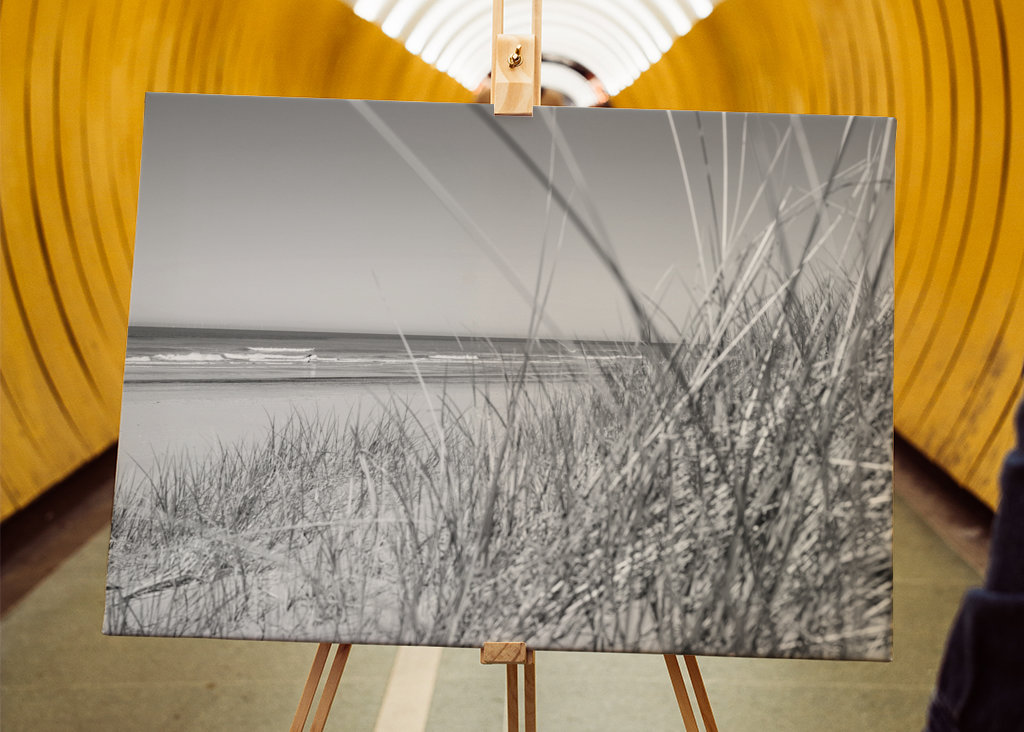 Plage noire et blanche 