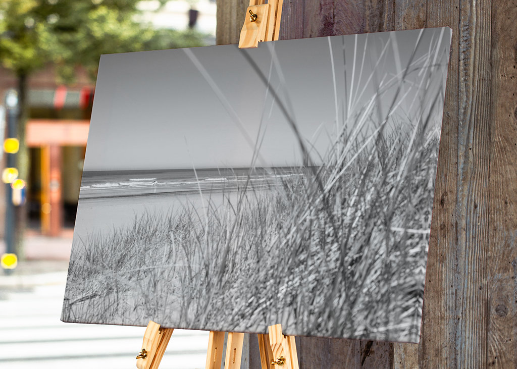 Plage noire et blanche 