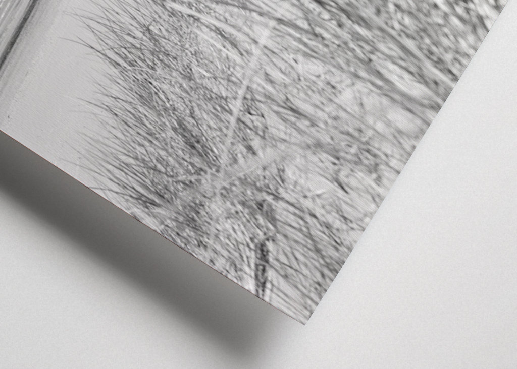 Plage noire et blanche 