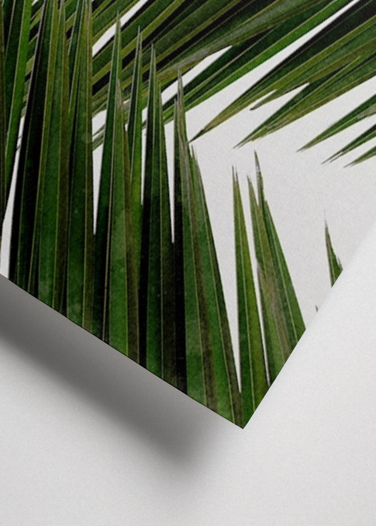 Palmeblad III
