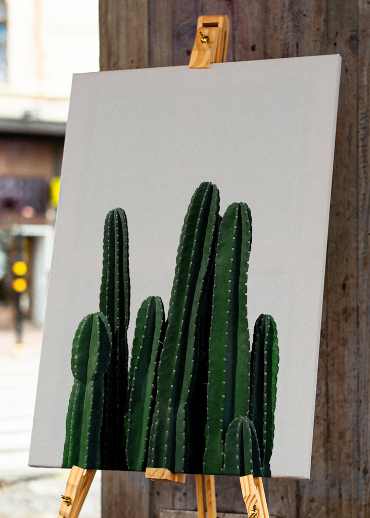 Cactus 